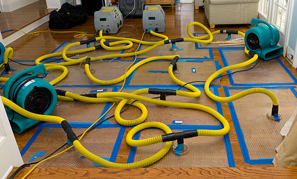 Professional Flood Damage Restoration technician working in Brookhaven, PA
